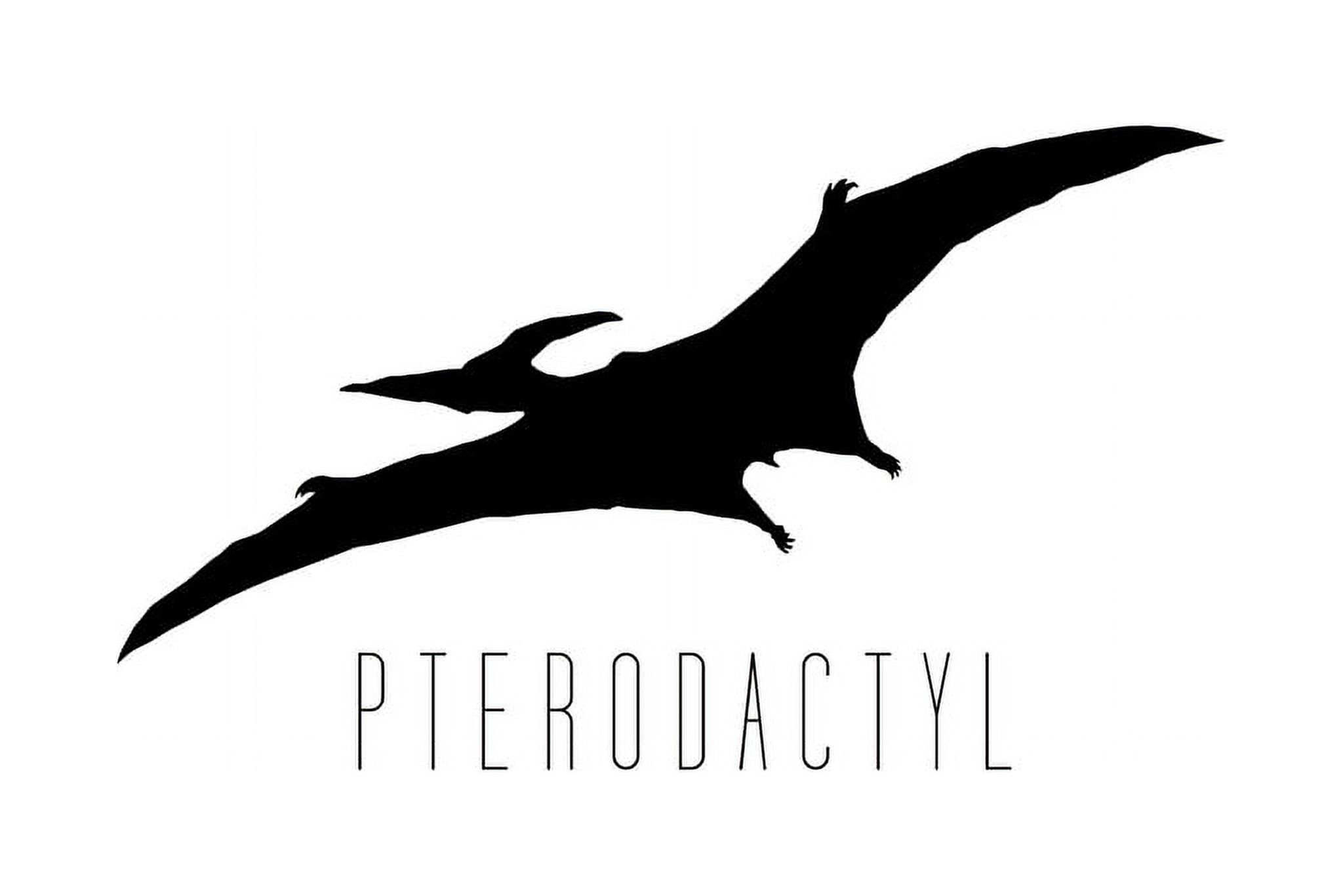 Dinosaur Pterodactyl White Dinosaur Poster For Kids Room Dino Pictures