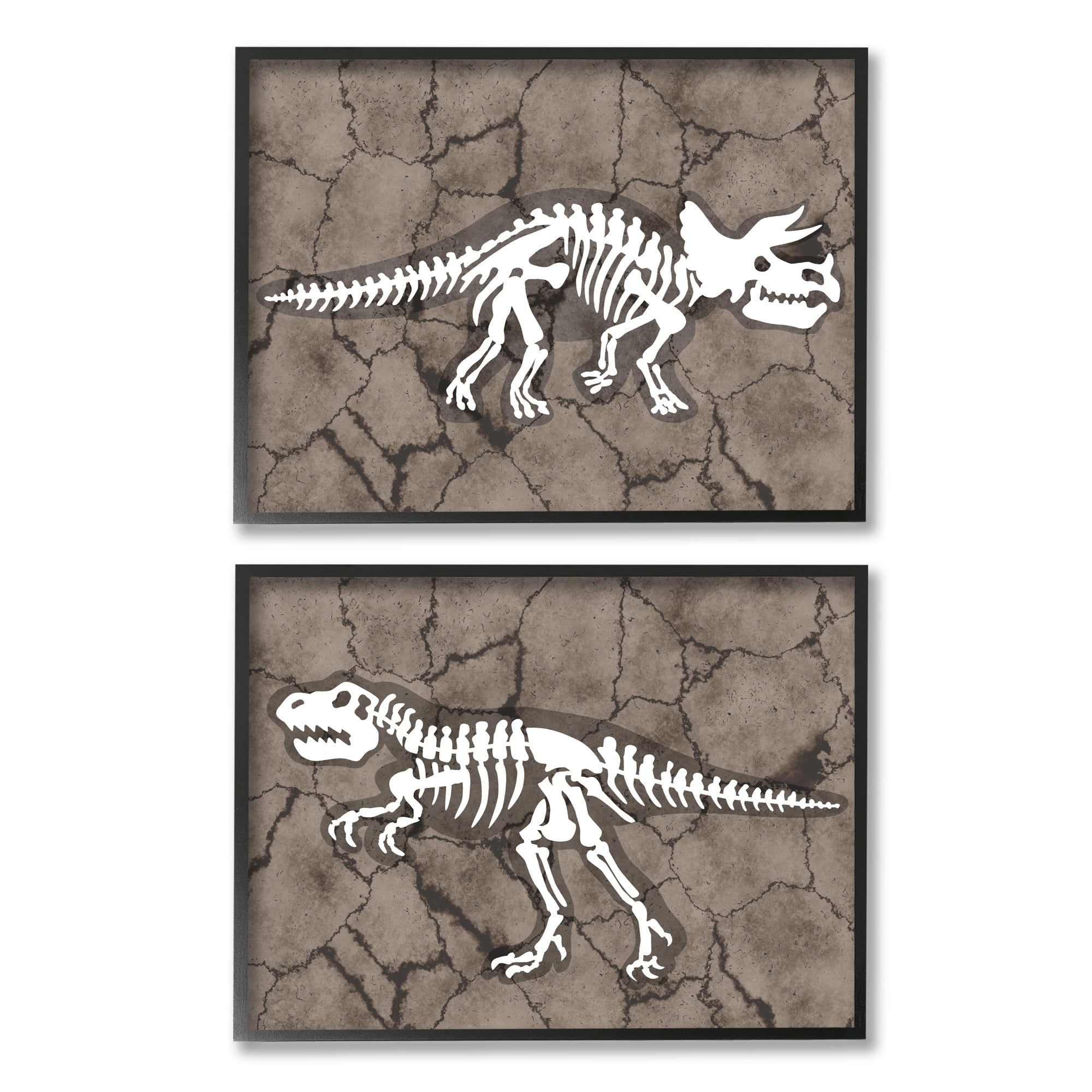 Dinosaur Skeleton Artifacts Cracked Earth Pattern 20 in x 16 in Framed Painting Art Prints, by Stupell Home Décor