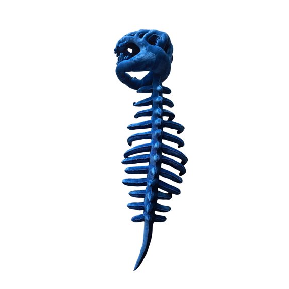 Dinosaur Skeleton Costume 3D Spinosaurus And Plush Spine Suitable For Halloween Role Playing And Dress Up Games