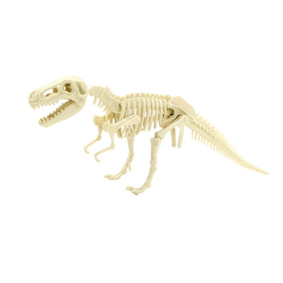 Dinosaur Skeleton Diy Toys Educational Puzzles Model Set For Kids Over 6 Years Old, Educational Puzzles Model Set For Kids Over 6 Years Old, Dinosaur Skeleton Diy Toys For Kids