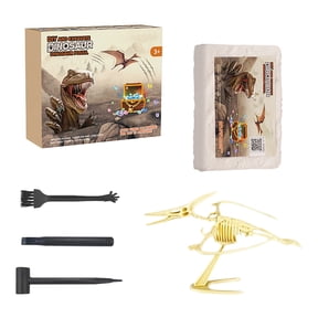 Dinosaur Skeleton Excavation Kit, 10-Piece Fossil Dig Set with Gypsum Block and Archaeological Tools, Science STEAM Education Skeleton Puzzle Game for Ages 6 to 14