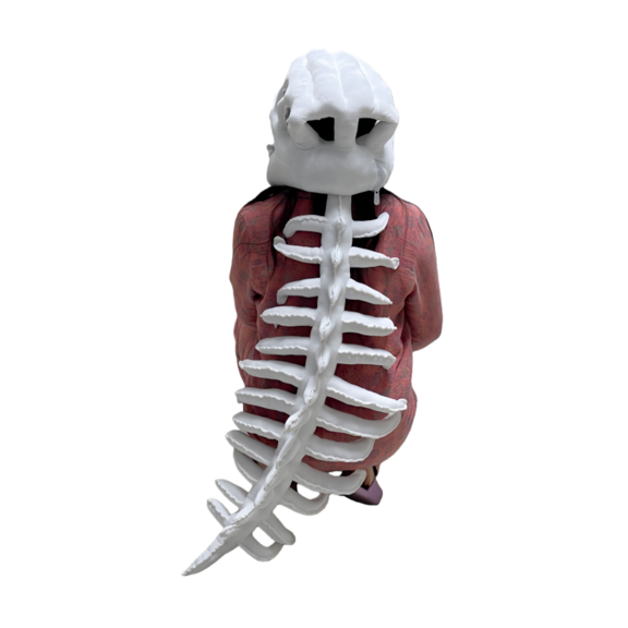 Dinosaur Skeleton Plush Hood Toy, Wearable Funny Bone Head Costume, Soft Stuffed Dinosaur Mask Toy, Novelty Gag Gift Plush Figure for Display & Play