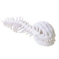 thumbnail image 1 of Dinosaur Skeleton Plush Outfit, 3D Skeleton Design Plush Realistic Animal Outfit for Teens, Dinosaur Skeleton Headpiece and Spine White, 1 of 8