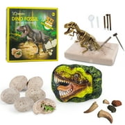 Dinosaur Toys for Kids, Dino Fossil Dig Kit, Dinosaur Eggs Excavation Kit