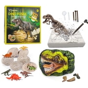Dino Fossil Dig Kit for Kids, Dinosaur Eggs Toys Excavation Kit