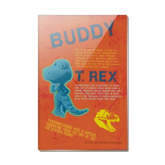 Dinosaur Train Buddy T-Rex Facts Rectangle Acrylic Fridge Refrigerator Magnet