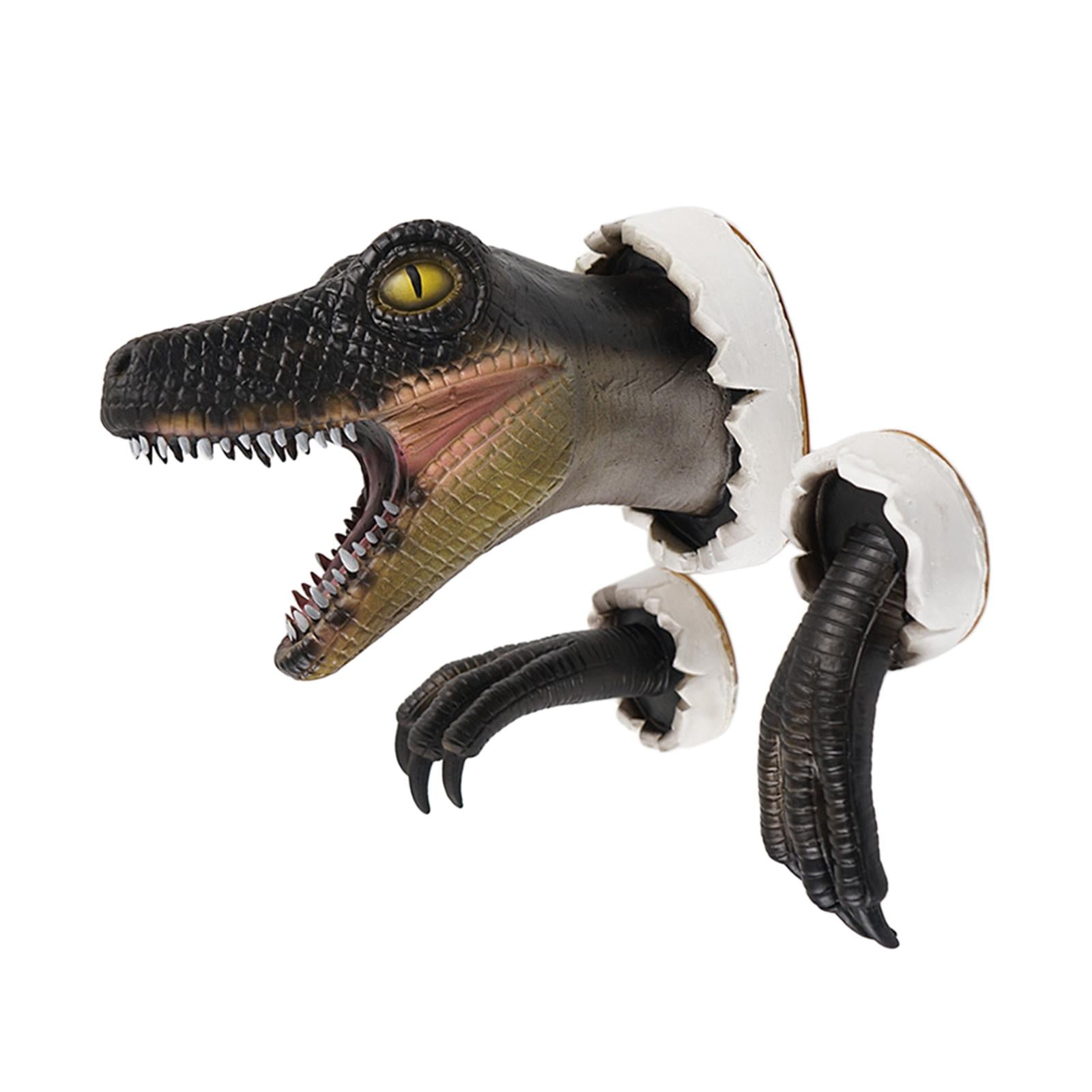 Dinosaur Wall Sculpture, Wall Hanging Dinosaur Head, Wall Mounted Dinosaur Bust, Tyrannosaurus