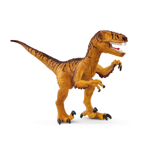 Schleich Dinosaurs - 7" Realistic Velociraptor Dinosaur Toy. Dino Action Figure with Movable Jaw - Fun- Imaginative Play Figurine Dinos - Cool Toys for Kids Ages 5+- 15045
