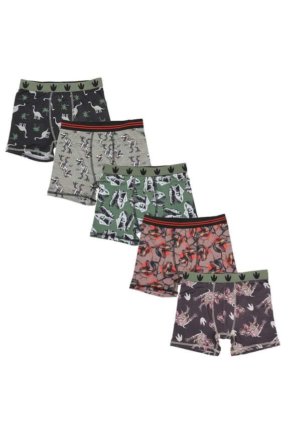 Dinosaurs All-Over Print Boy's 5-Pack Boxer Briefs-6