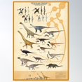 thumbnail image 1 of Dinosaurs And Pterosaurs Of The Wessex Formation, England Poster Wall Art, Modern Wall Decor For Living Room Bedroom, 16x24 UNFRAMED, 1 of 2