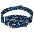 thumbnail image 1 of Country Brook Petz® Dinosaurs Martingale Dog Collar, Small, 1 of 6