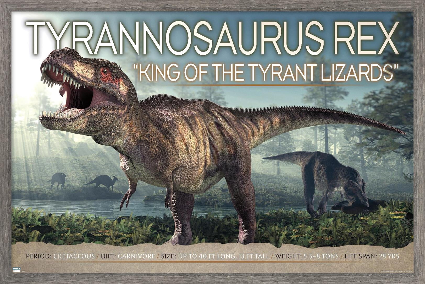Dinosaurs - T-Rex Wall Poster, 14.725" x 22.375" Framed
