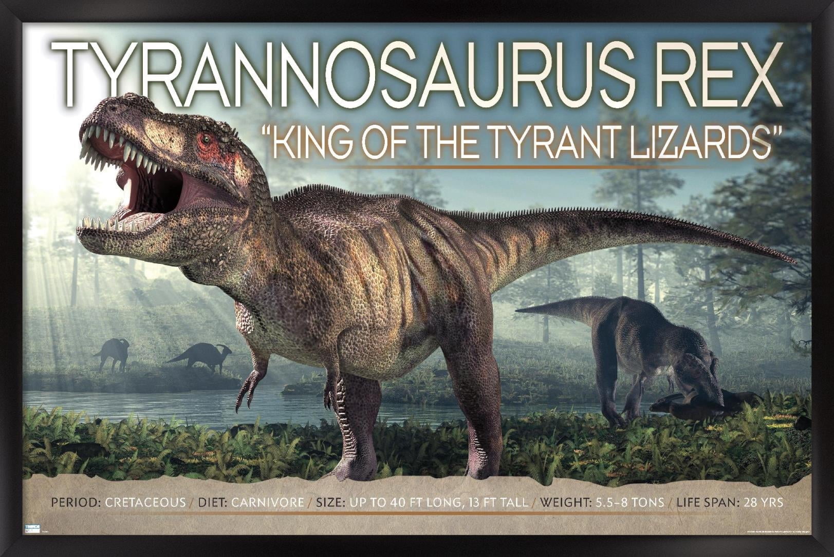 Dinosaurs - T-Rex Wall Poster, 14.725" x 22.375" Framed