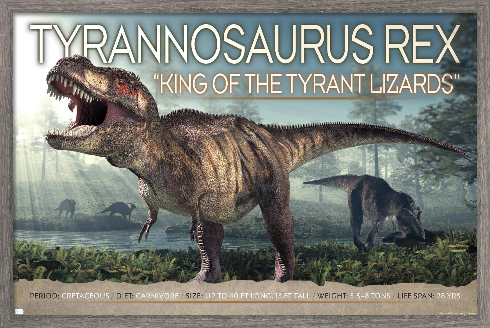 Dinosaurs - T-Rex Wall Poster, 22.375" x 34", Framed