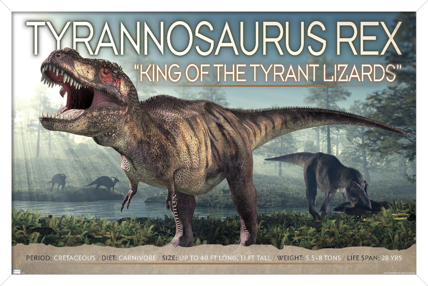 ロボディーズ ポスター 34.5×38cm Dinosaurs-T-Rex-Wall-Poster-22