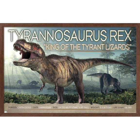 Dinosaurs - T-Rex Wall Poster, 22.375" x 34" Framed