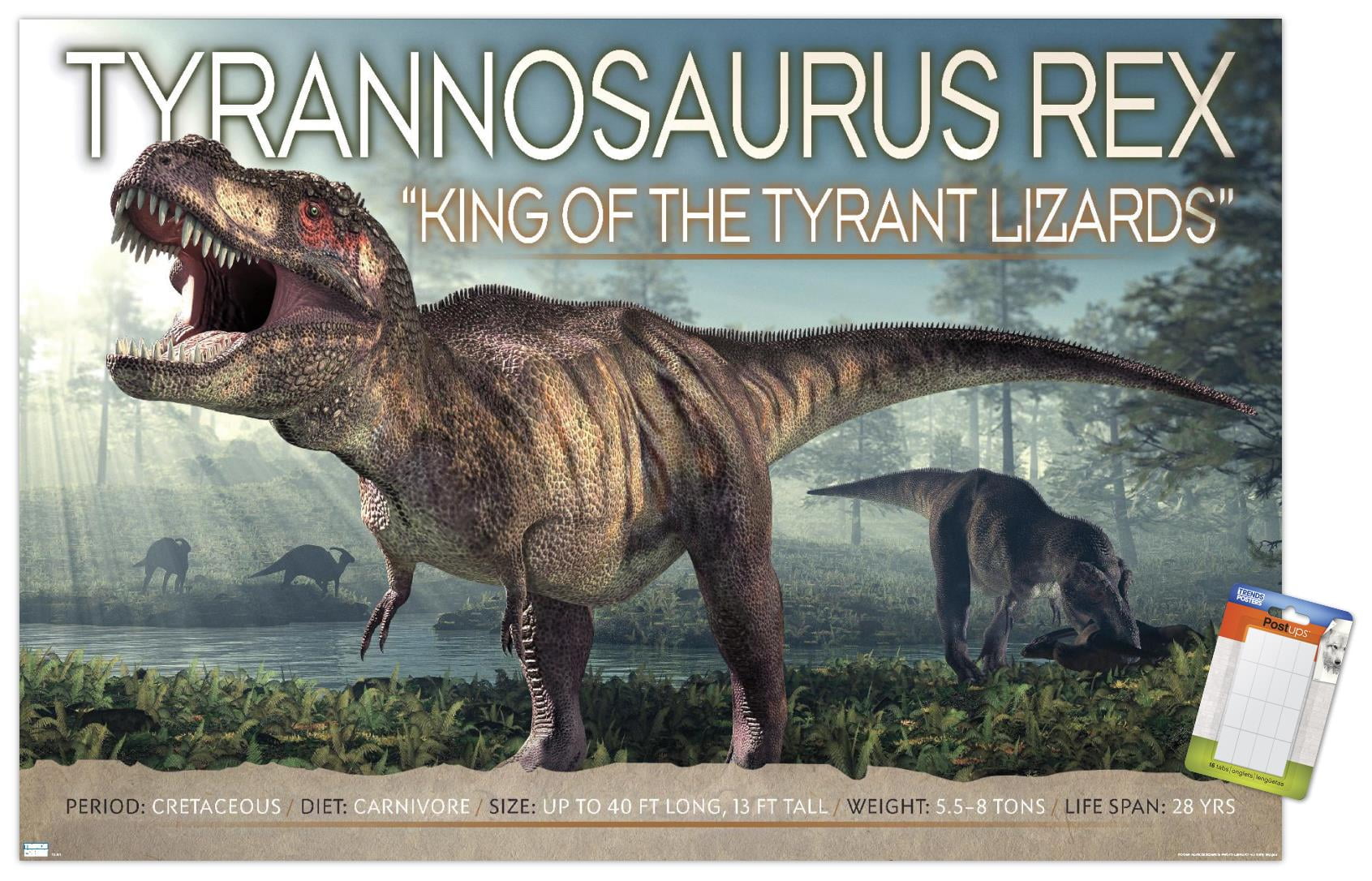 Dinosaurs - T-Rex Wall Poster, 22.375" x 34"