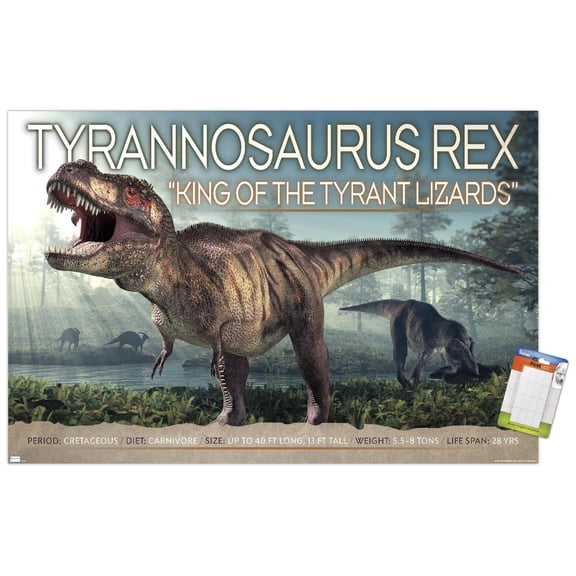Dinosaurs - T-Rex Wall Poster, 22.375" x 34"