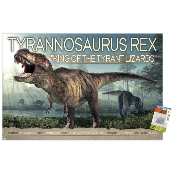 Dinosaurs - T-Rex Wall Poster with Push Pins, 22.375" x 34"