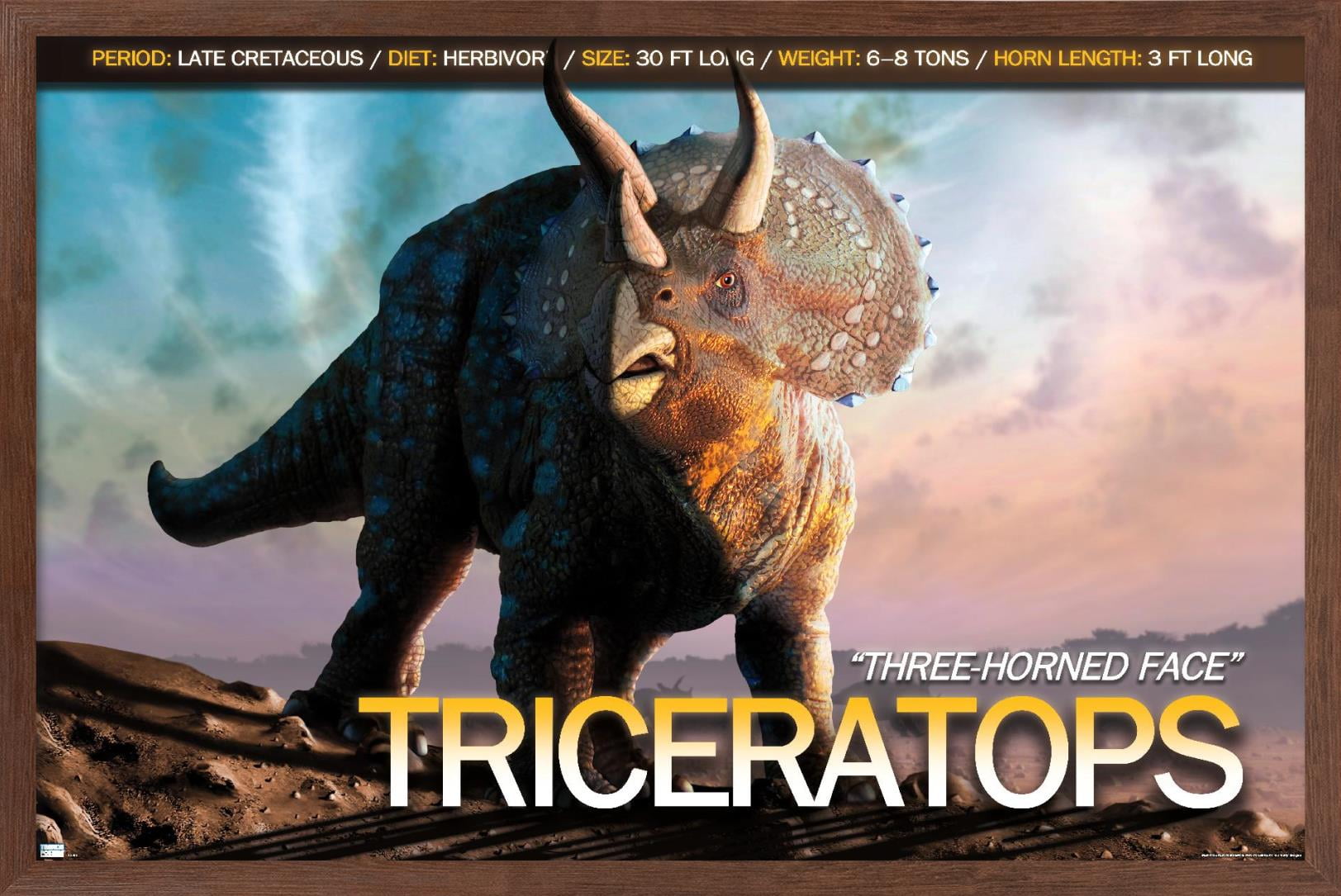 Dinosaurs - Triceratops Wall Poster, 14.725" x 22.375", Framed