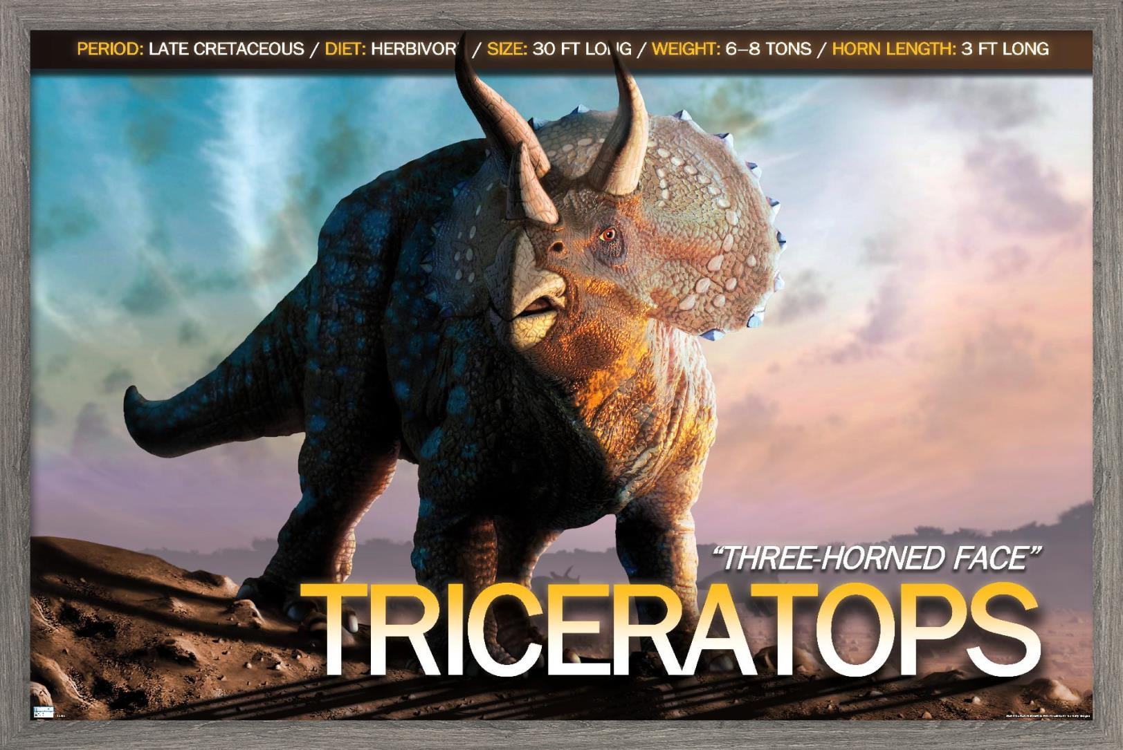 Dinosaurs - Triceratops Wall Poster, 14.725