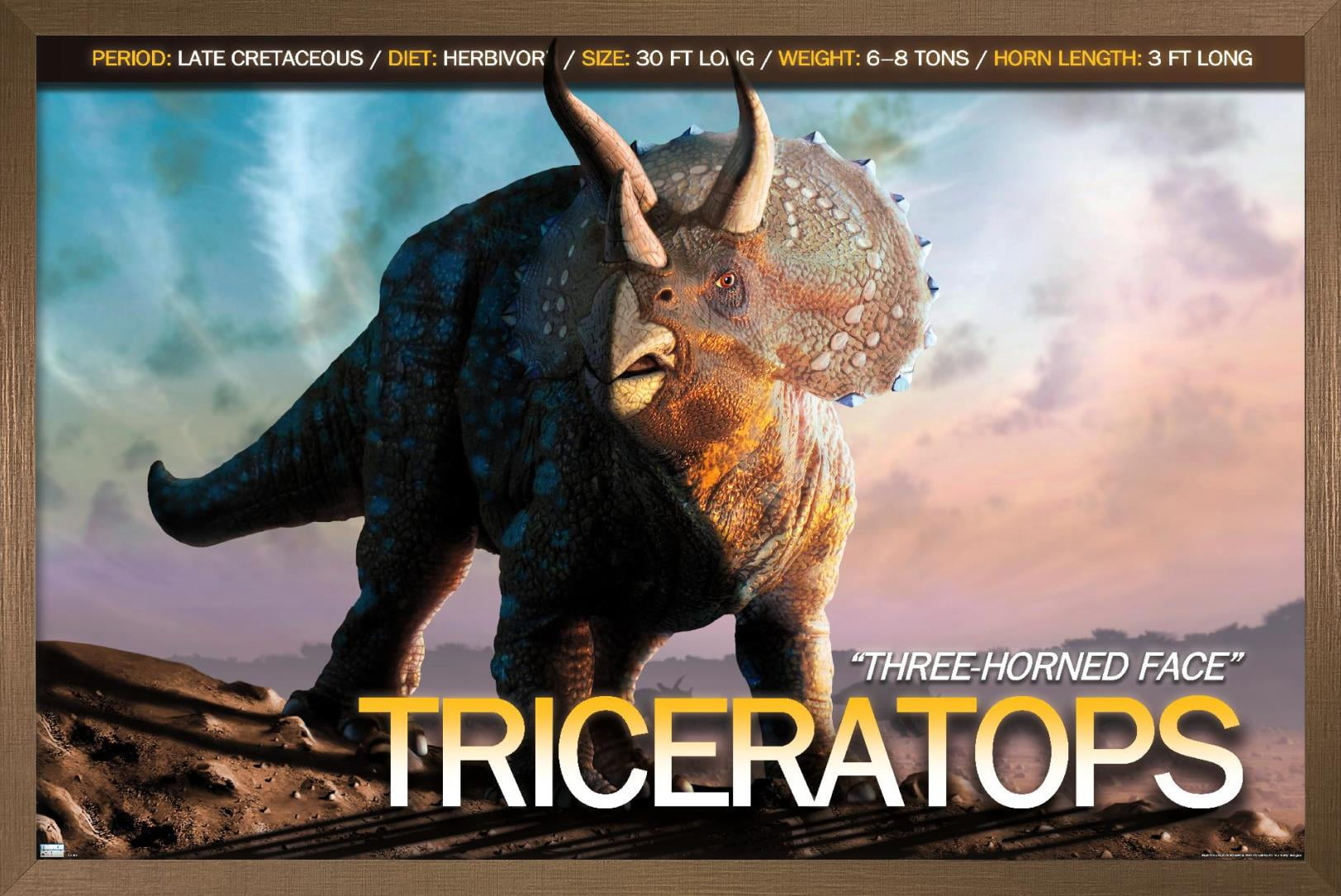 Dinosaurs - Triceratops Wall Poster, 22.375