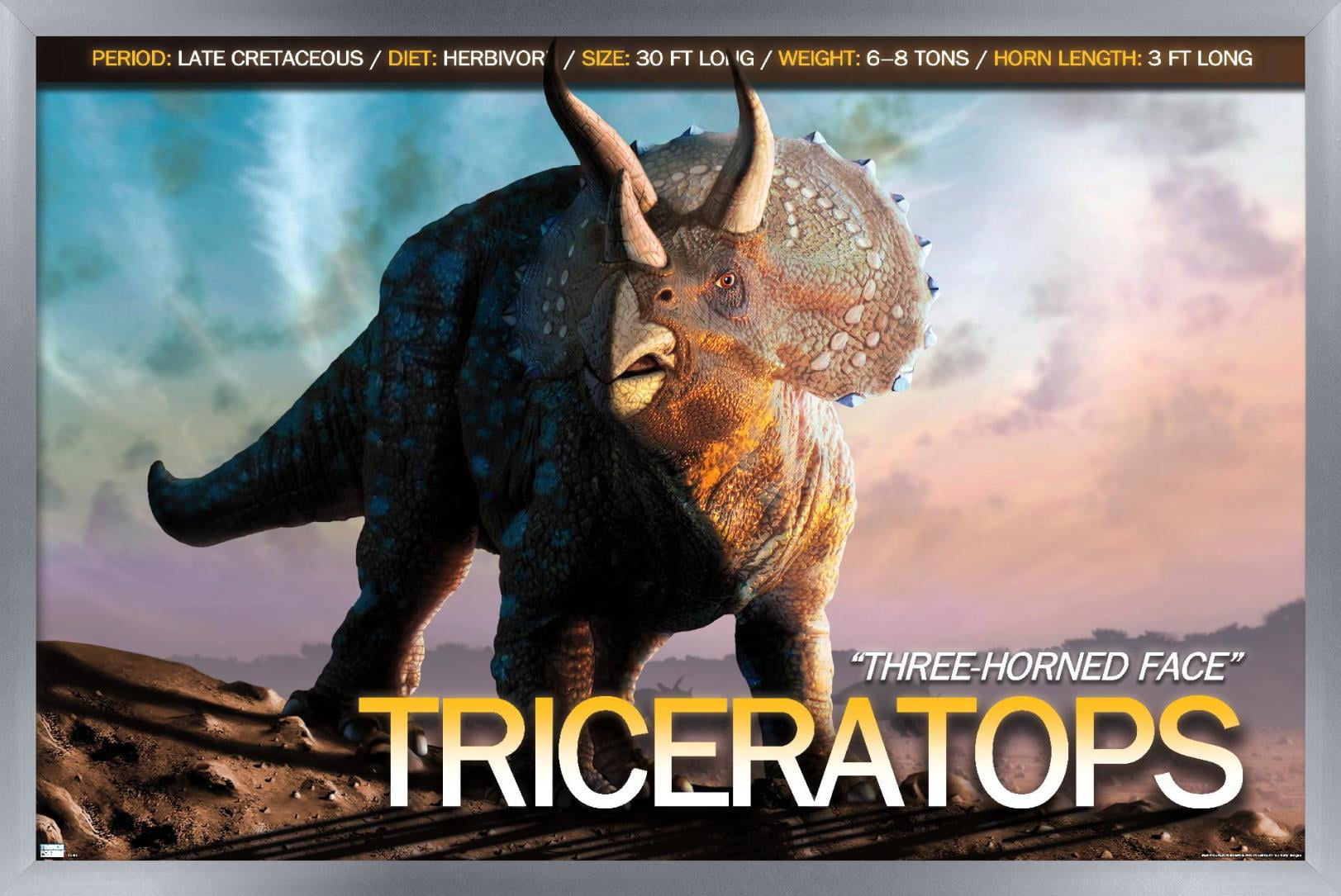 Dinosaurs - Triceratops Wall Poster, 14.725