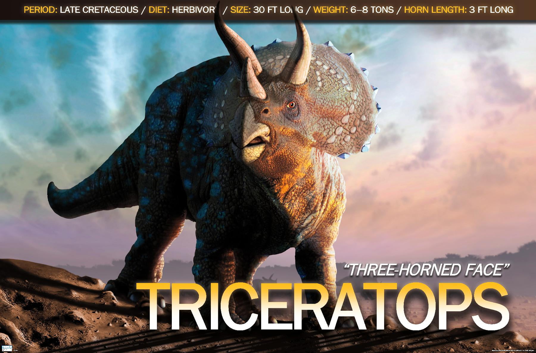 Dinosaurs - Triceratops Wall Poster, 14.725
