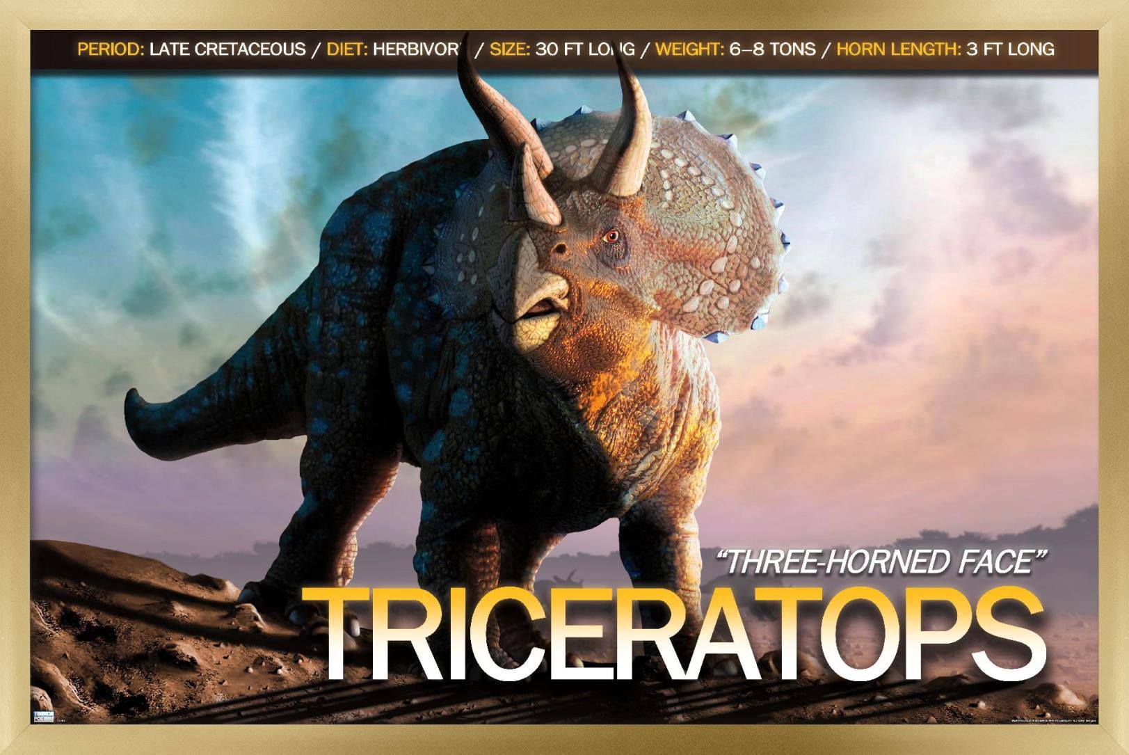 Dinosaurs - Triceratops Wall Poster, 14.725