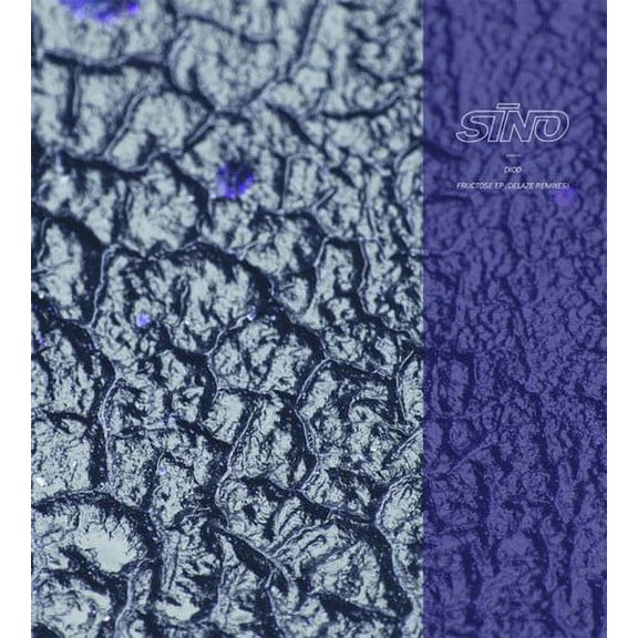 Diod - Fructose EP (Delaze Remixes) - Music & Performance - Vinyl