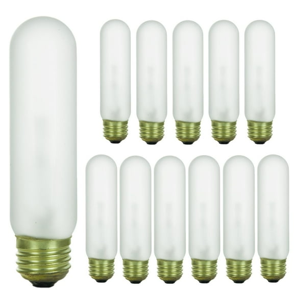 Diodesy- Pack of 12 40T10/FR Incandescent Tubular Light Bulbs, Frosted Tube T10 Bulb, 40 Watts, 2600K Warm White, 240 Lumens, E26 Medium Base for Lamps/Office, 120 Volt, 2000Hour, Title 20 Compliant