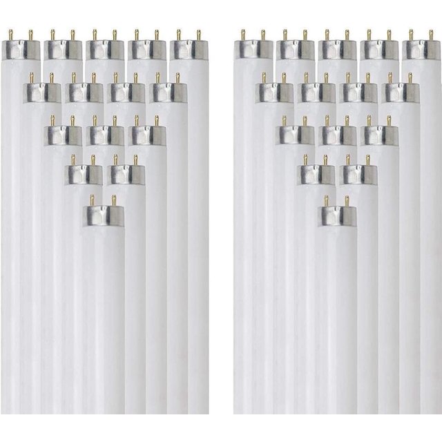 Diodesy Pack of 30 F25T8/SP841 T8 Fluorescent Tube Light Bulb