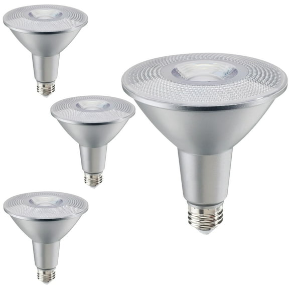 Diodesy- Pack of 4 LED15PAR38/FL40/827/WD/2 PAR38 Outdoor LED Flood Wet Light Bulb, 15W (120W Incandescent Equiv.), 2700K Warm White, Dimmable, Long Lasting, E26 Security Light for Accent/Tracking, UL