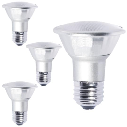 Diodesy- Pack of 4 LED7PAR20/NF25/840/WD PAR20 LED Flood Wet Light Bulb, 7W (50W Halogen Equiv.), 4000K Cool White, Dimmable, Long Lasting, E26 Security Light for Accent/Tracking, UL Listed