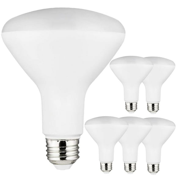 Diodesy- Pack of 6 BR30/LED/10.5W/27K BR30 LED Bulbs, Dimmable Indoor Flood-Light, 10.5 Watt (65W Equivalent), 2700K Warm White, 800 Lumens, Medium E26 Base, 25000 Lifetime Hours, Recessed Light Bulbs