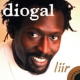 thumbnail image 1 of Diogal - Liir - Music & Performance - CD, 1 of 1