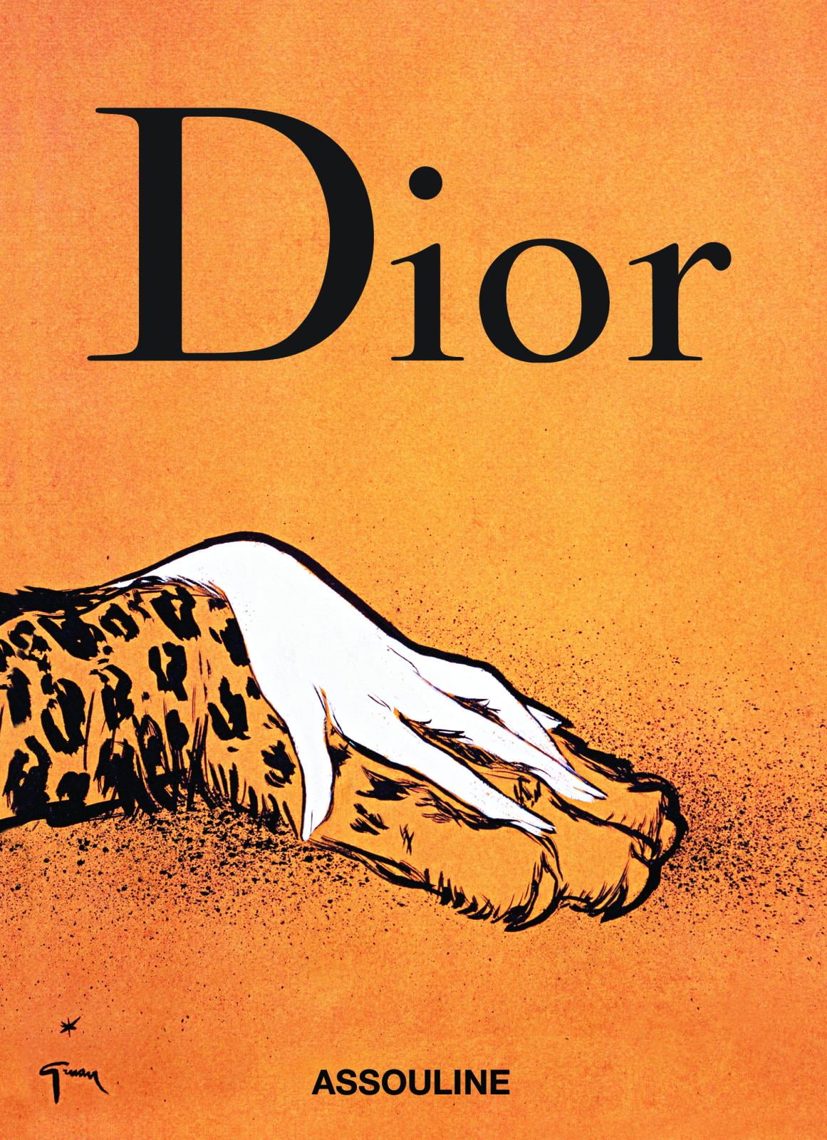 dior 3 in 1