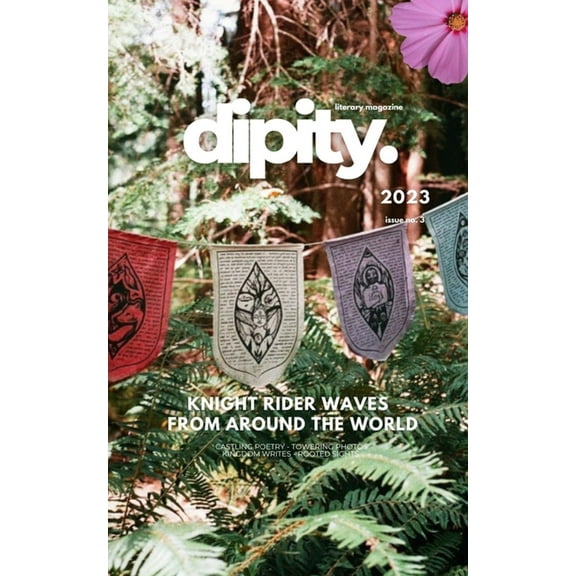 Dipity Literary Magazine Issue #3 (Knight Rider Waves): Softback Economy, (Paperback)