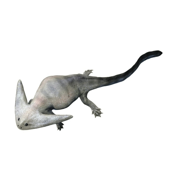 Diplocaulus is an extinct lepospondyl from the Paleozoic Era. Poster Print  by Nobumichi Tamura/Stocktrek Images (32 x 24