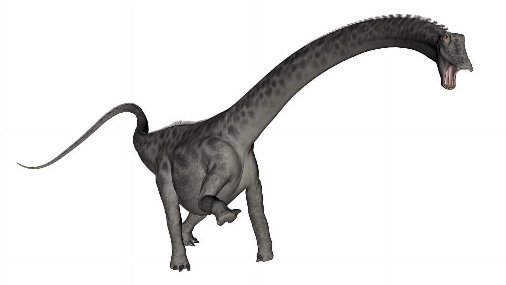 Diplodocus dinosaur Canvas Art - Elena DuvernayStocktrek Images (37 x 21)