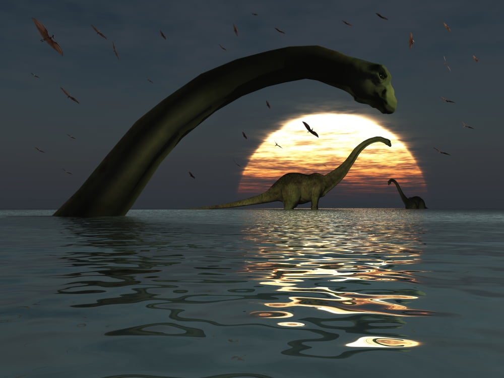 Diplodocus dinosaurs bathe in a large body of water Canvas Art - Mark StevensonStocktrek Images (33 x 25)
