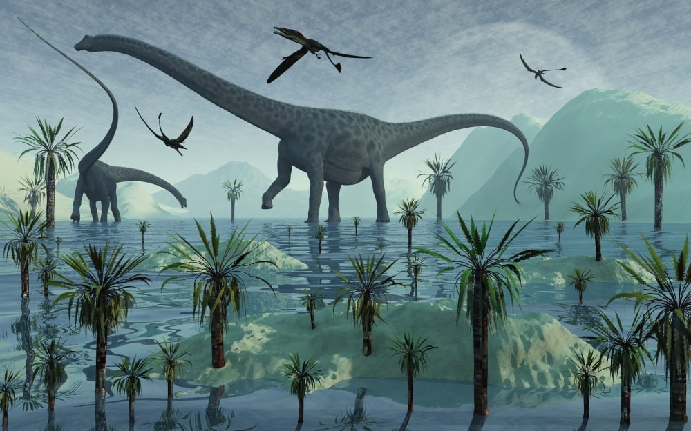 Diplodocus dinosaurs during the Jurassic period of time Canvas Art - Mark StevensonStocktrek Images (36 x 23)