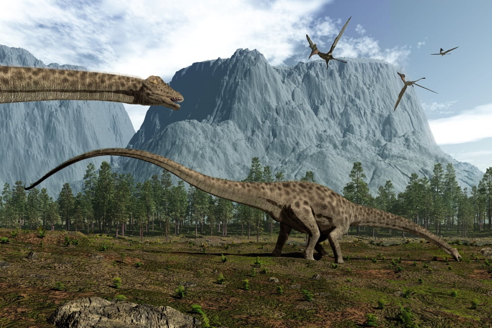 Diplodocus dinosaurs graze while pterodactyls fly overhead Canvas Art - Walter MyersStocktrek Images (35 x 24)
