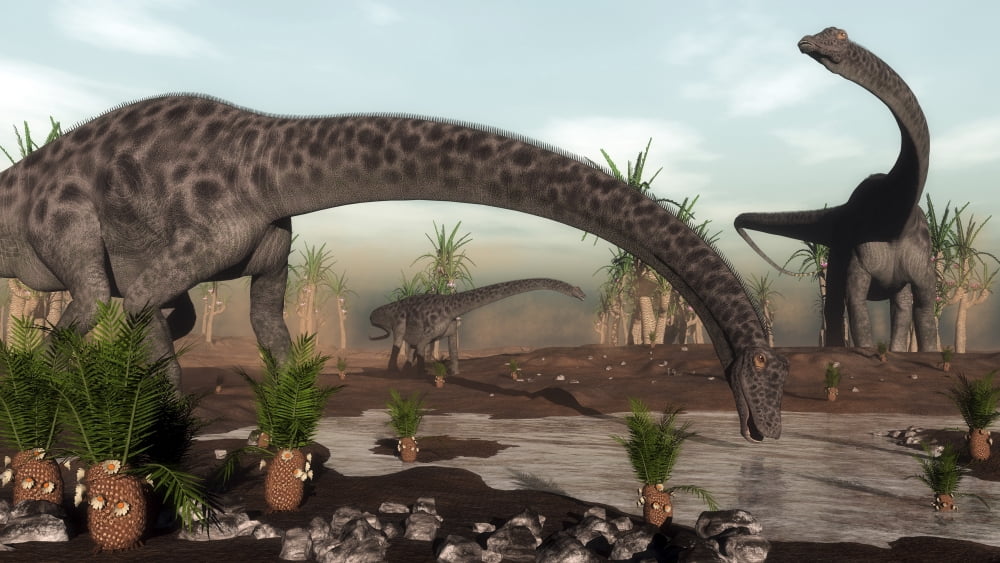 Diplodocus dinosaurs grazing near a desert lake Canvas Art - Elena DuvernayStocktrek Images (19 x 11)