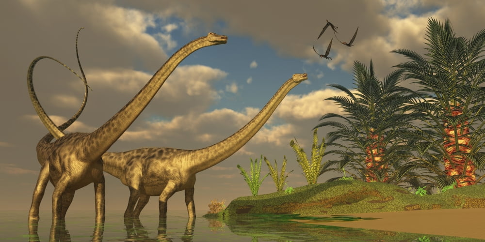 Diplodocus dinosaurs in a mating ritual Canvas Art - Corey FordStocktrek Images (20 x 10)