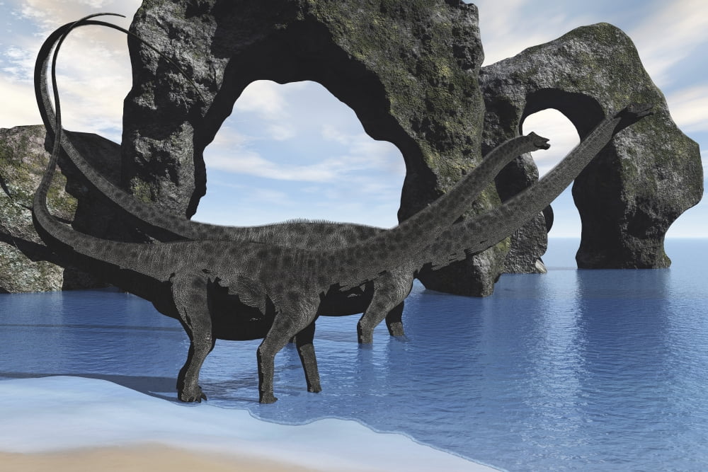 Diplodocus dinosaurs wade through shallow waters of a beautiful seashore Canvas Art - Corey FordStocktrek Images (35 x 23)