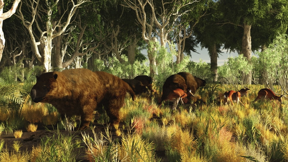 Diprotodon on the edge of a Eucalyptus forest with some early kangaroos Canvas Art - Arthur DoretyStocktrek Images (19 x 11)