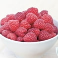 thumbnail image 1 of Direct Gardening Boyne Red Raspberry Bush Potted Fruit Bearing Starter Plant (1-Pack), 1 of 4