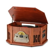 Direct Power 10-in-1 Vinyl Record Player, Wood Classic Audio Turntables with Bluetooth Built-in Speakers