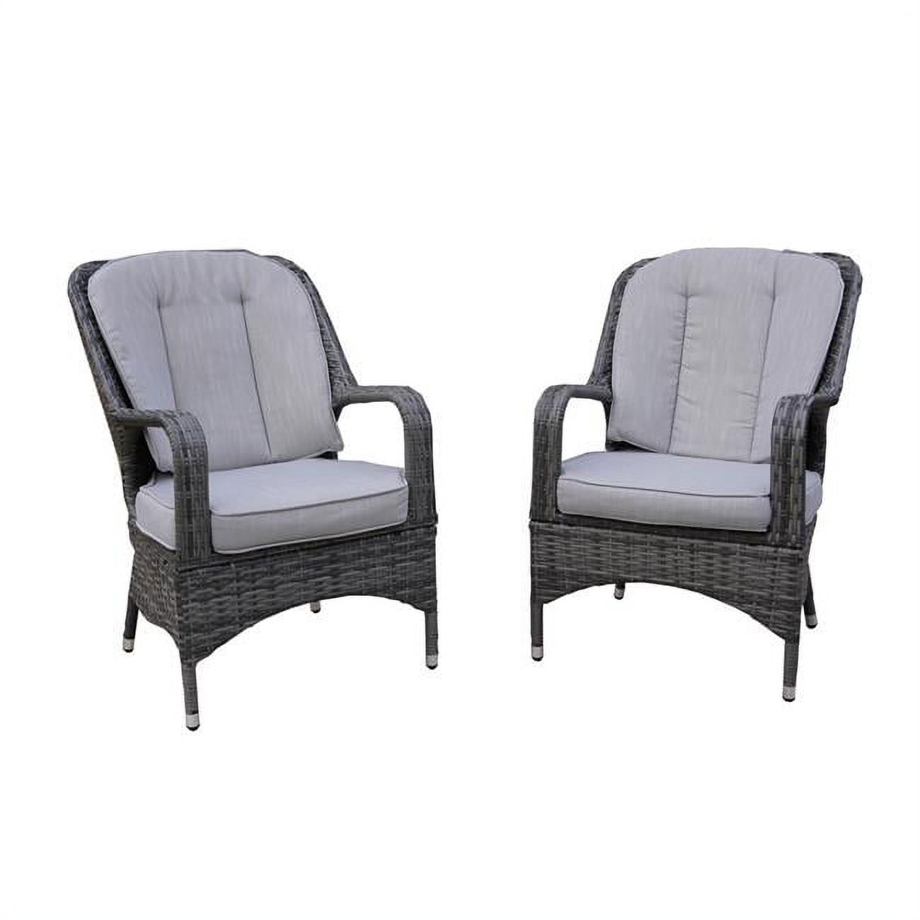 Direct Wicker  Set of 2 Grey Outdoor Garden Lamao Rattan Aluminum Frame Dining Chairs - image 1 of 1